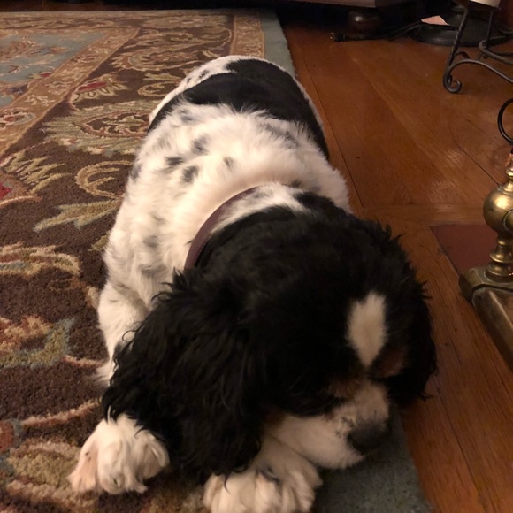 Meet your Posher, Andrea - Picture 1 of 1